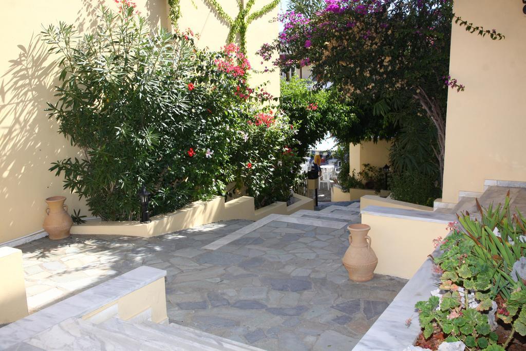 Alexander House Otel